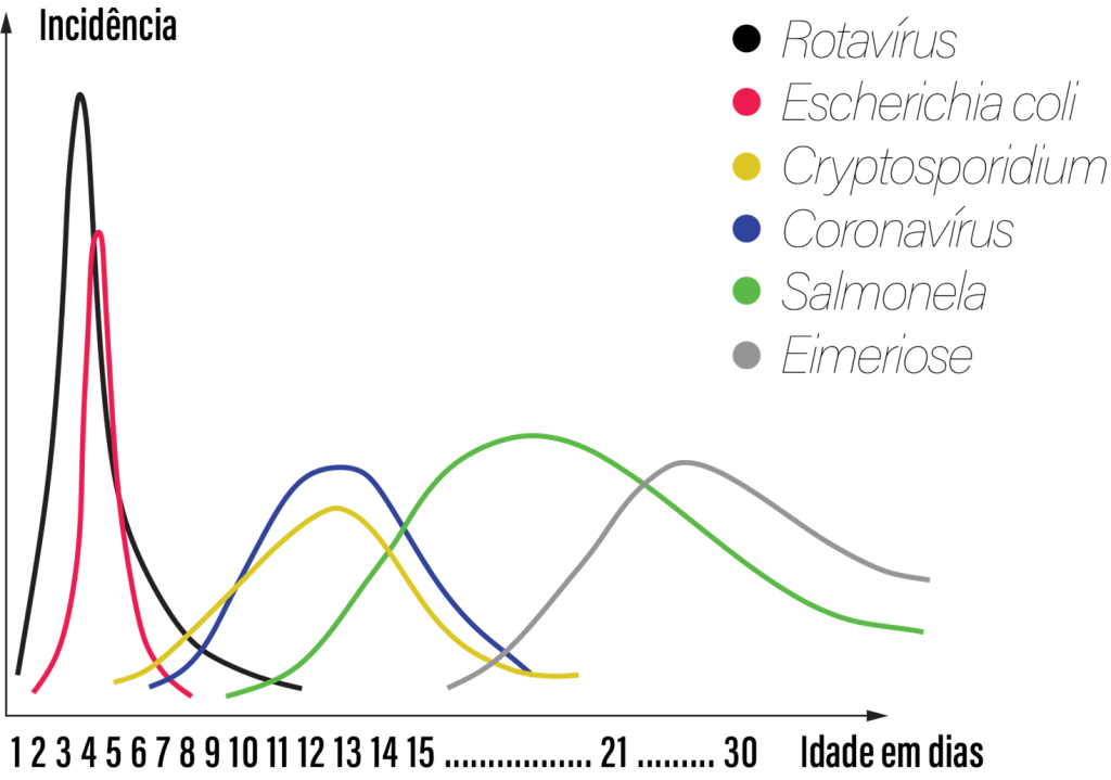 Gráfico de incidência das principais causas de diarreias em bezerros neonatos