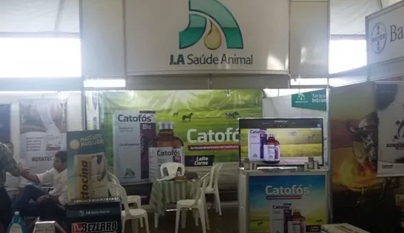 Feira Triângulo Leite, Prata – MG