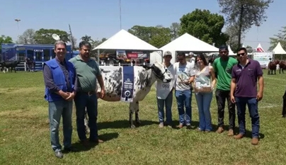 J.A premia com Kits de produtos veterinários os vencedores da Expo Rio Preto