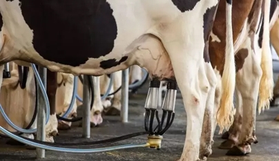 Margem positiva depende de alta produtividade e controle de custos