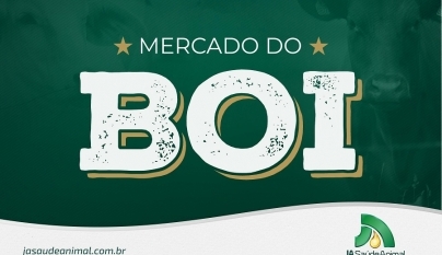 Virada para julho traz alta do boi no embalo.