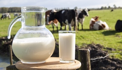 Setor de orgânicos cresce globalmente e lácteos registram alta no Brasil