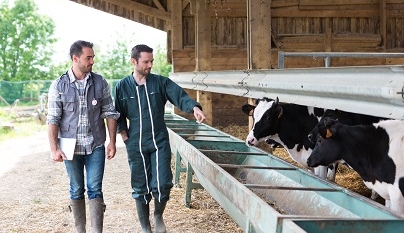 Como os custos de produção têm afetado os produtores de diferentes tamanhos