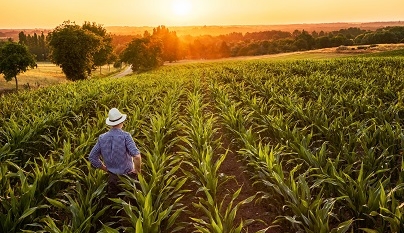 Agronegócio passou a indústria de transformação pela primeira vez, diz Guedes