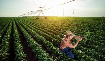 Brasil gasta cada vez menos com o agro, diz estudo