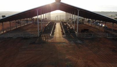 Implementos agrícolas para manejo de cama de compost barn