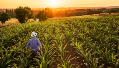 Brasil é exemplo de produção agropecuária sustentável