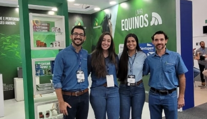 XXIII ABRAVEQ: saúde dos equídeos em pauta