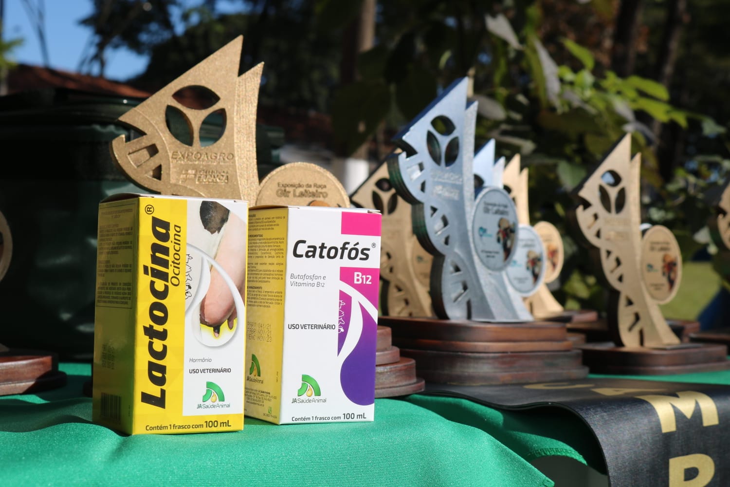 Foto EXPOAGRO