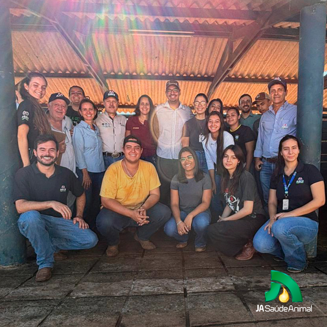 WhatsApp Image 2024-05-13 at 10.53.04